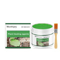 Plant Wound Healing Agent Antibacterial And Waterproof