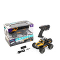 Electric Two Wheel Drive Remote Controlled Off-road Drift Vehicle Model Toy With Lights