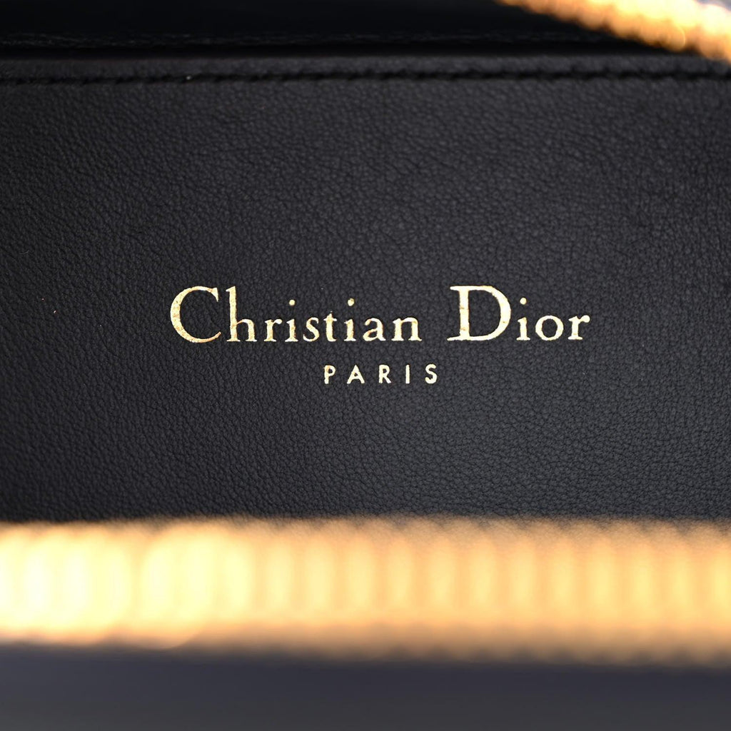 Christian Dior Signature Oval Camera Bag Calfskin with Embossed CD Signature Banlieue91