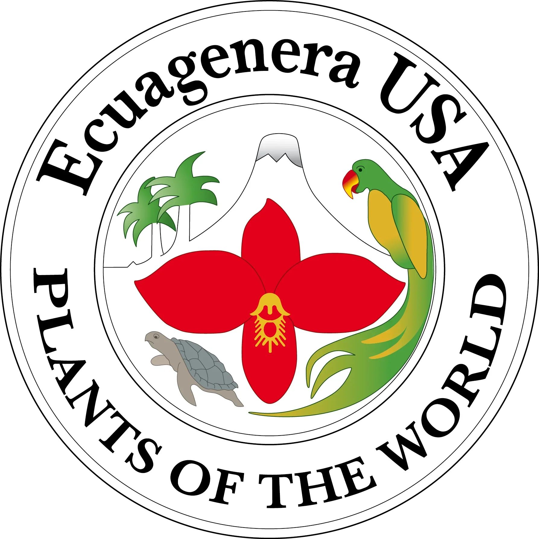 Dendrobium Pepe Portilla f. pink