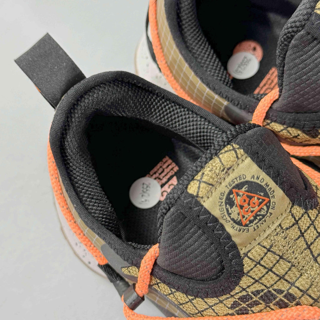 Nike ACG Mountain Fly 2 'Gore-Tex SE 'Hazel Rush' Banlieue91
