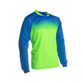 Vizari Vallejo Goalkeeper Jersey – Royal/Green Vizari Sports