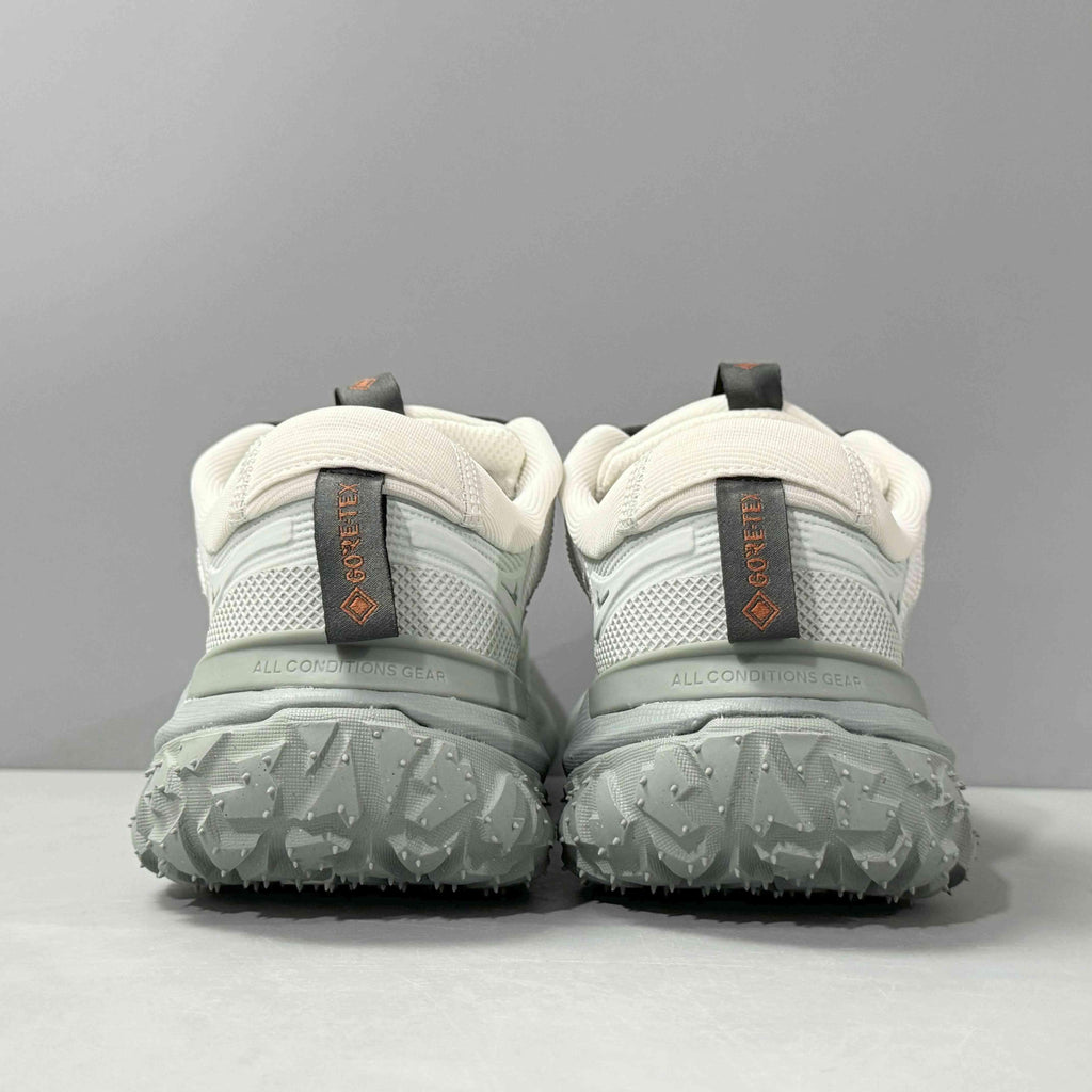 Nike ACG Mountain Fly 2 Low Gore-Tex 'Phantom Light Silver' Banlieue91