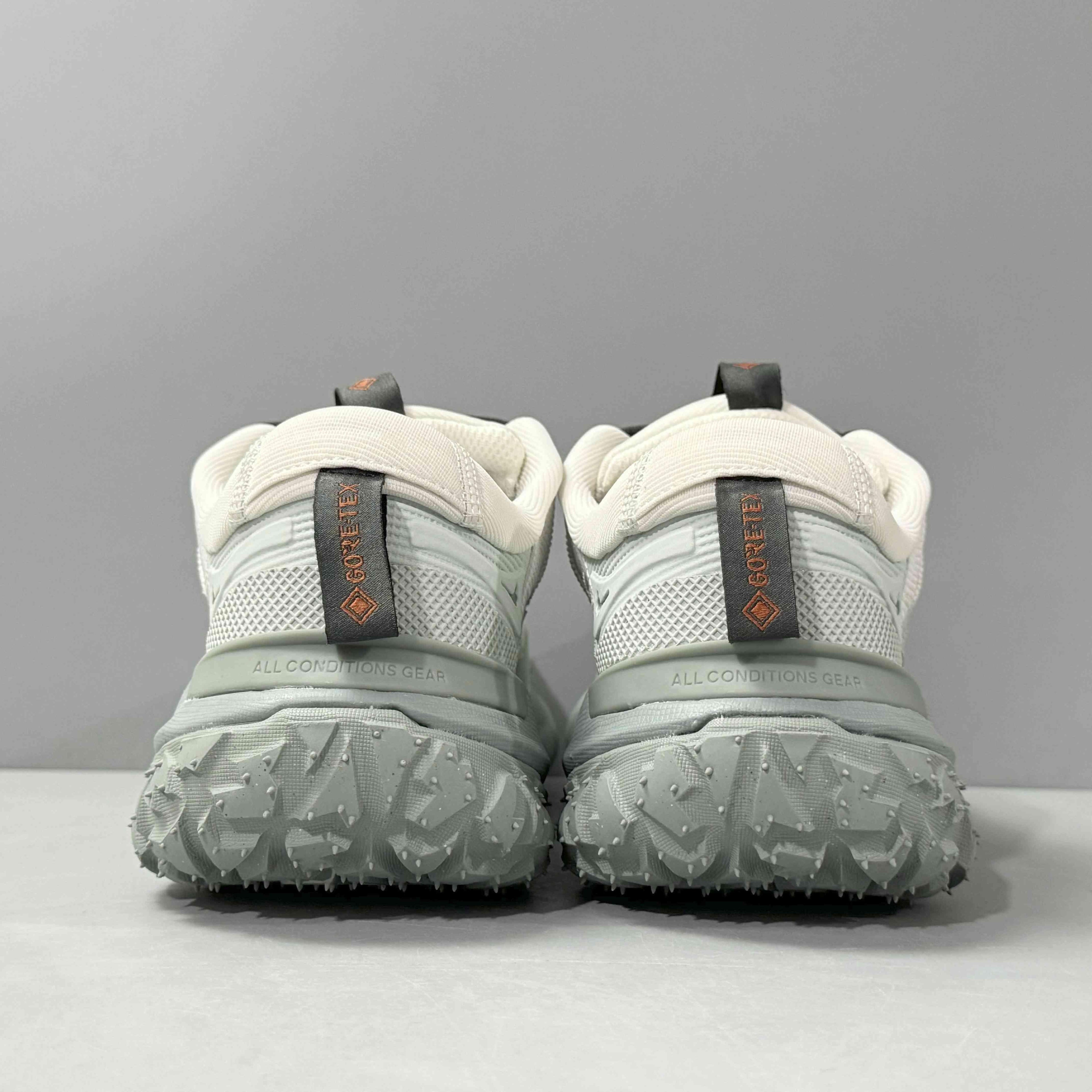 Nike ACG Mountain Fly 2 Low Gore-Tex 'Phantom Light Silver' Banlieue91