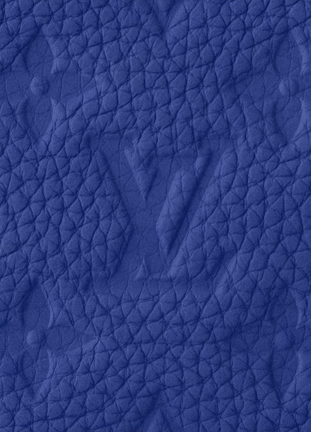 LOUIS VUITTON Mini Soft Trunk bag For Men Banlieue91