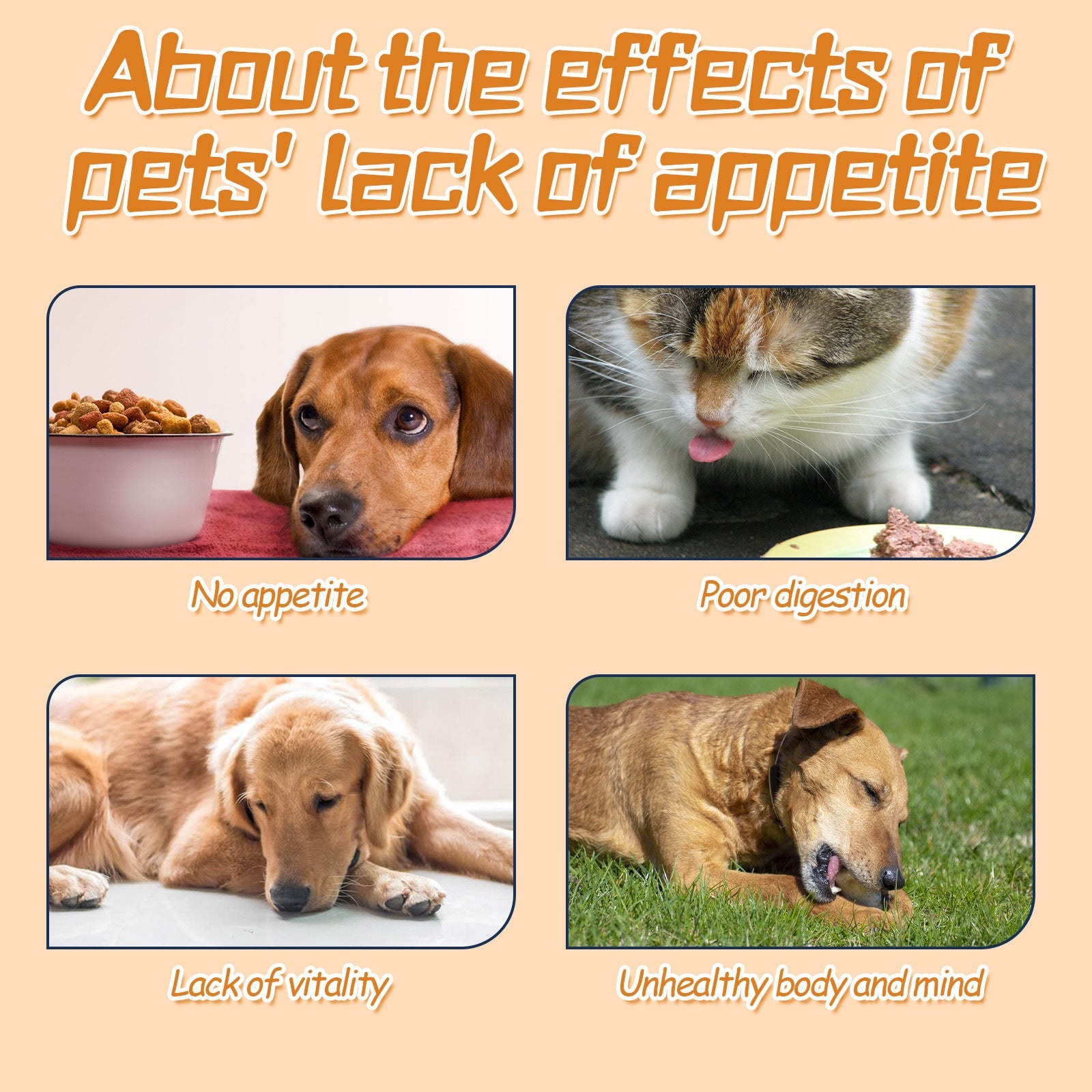 Pet Drops For Every Pets, Energizing And Nourishing Pet Health Care Drops