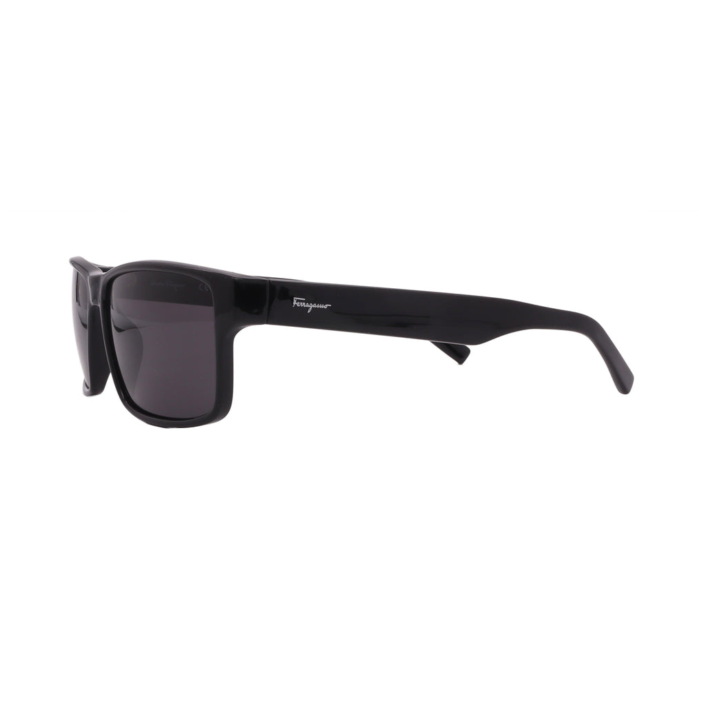 Salvatore Ferragamo Sunglasses SF960S-001-58-15-140 Non-Polarized FrameVault