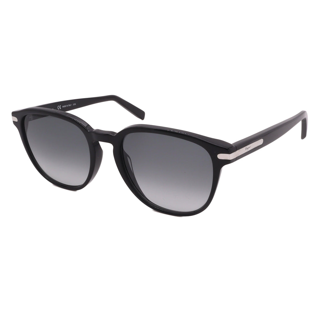 Salvatore Ferragamo Sunglasses SF993S-001-53-19-150 Non-Polarized FrameVault