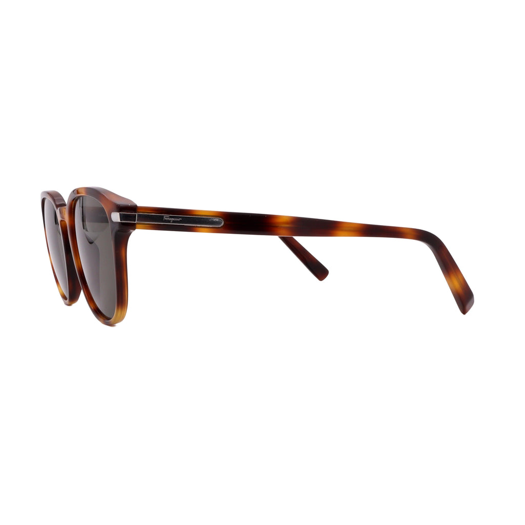 Salvatore Ferragamo Sunglasses SF993S-214-53-19-150 Non-Polarized FrameVault
