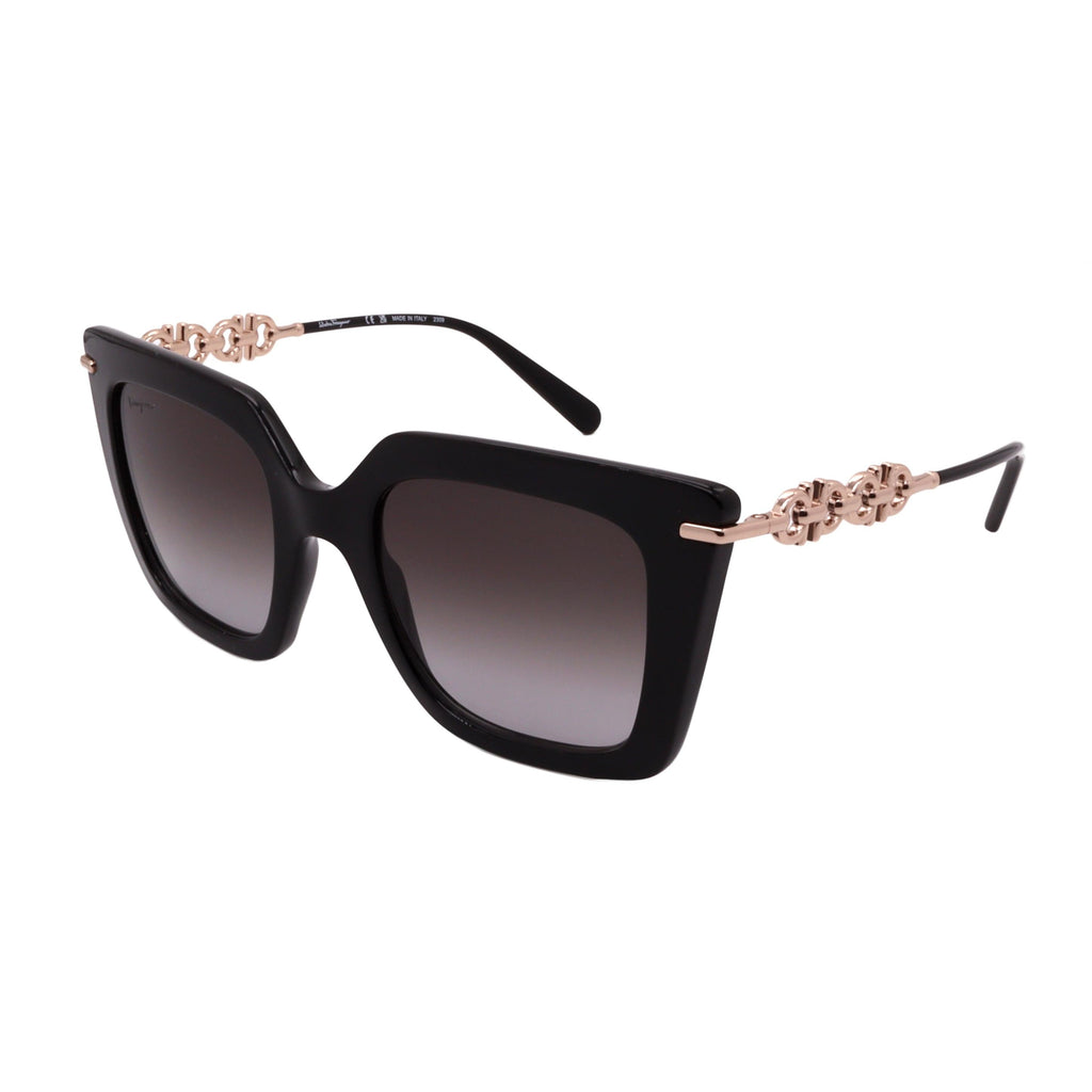 Salvatore Ferragamo Sunglasses SF1041S-001-51-22-145 Non-Polarized FrameVault