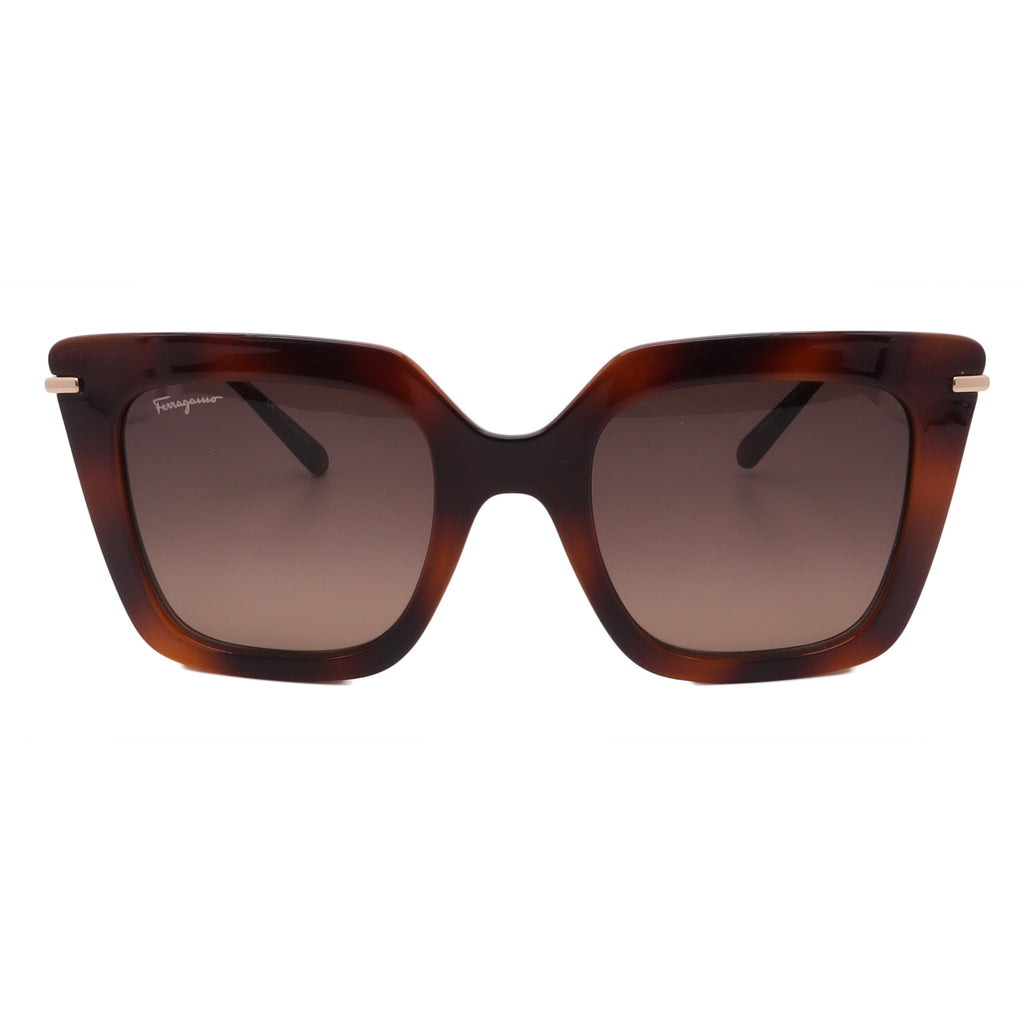 Salvatore Ferragamo Sunglasses SF1041S-238-51-22-145 Non-Polarized FrameVault