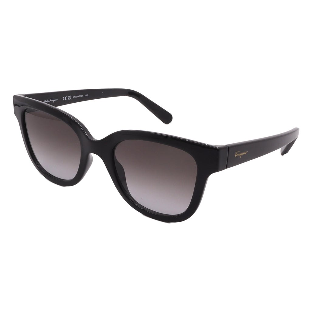 Salvatore Ferragamo Sunglasses SF1066S-001-52-21-140 Non-Polarized FrameVault