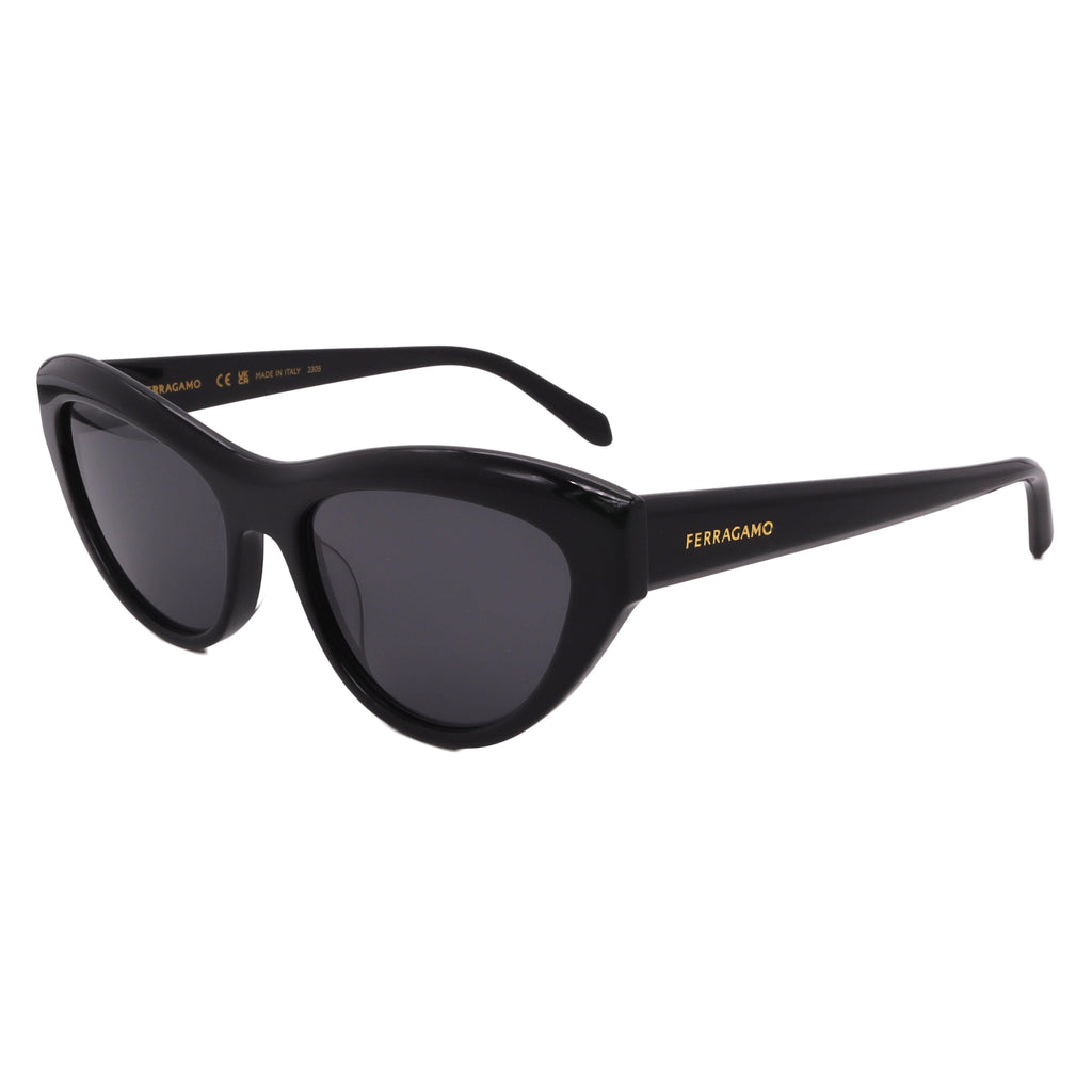Salvatore Ferragamo Sunglasses SF1103S-001-55-17-140 Non-Polarized FrameVault