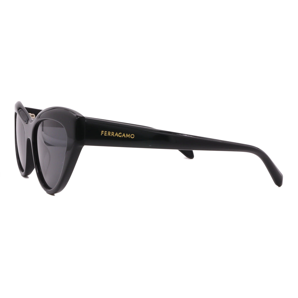 Salvatore Ferragamo Sunglasses SF1103S-001-55-17-140 Non-Polarized FrameVault