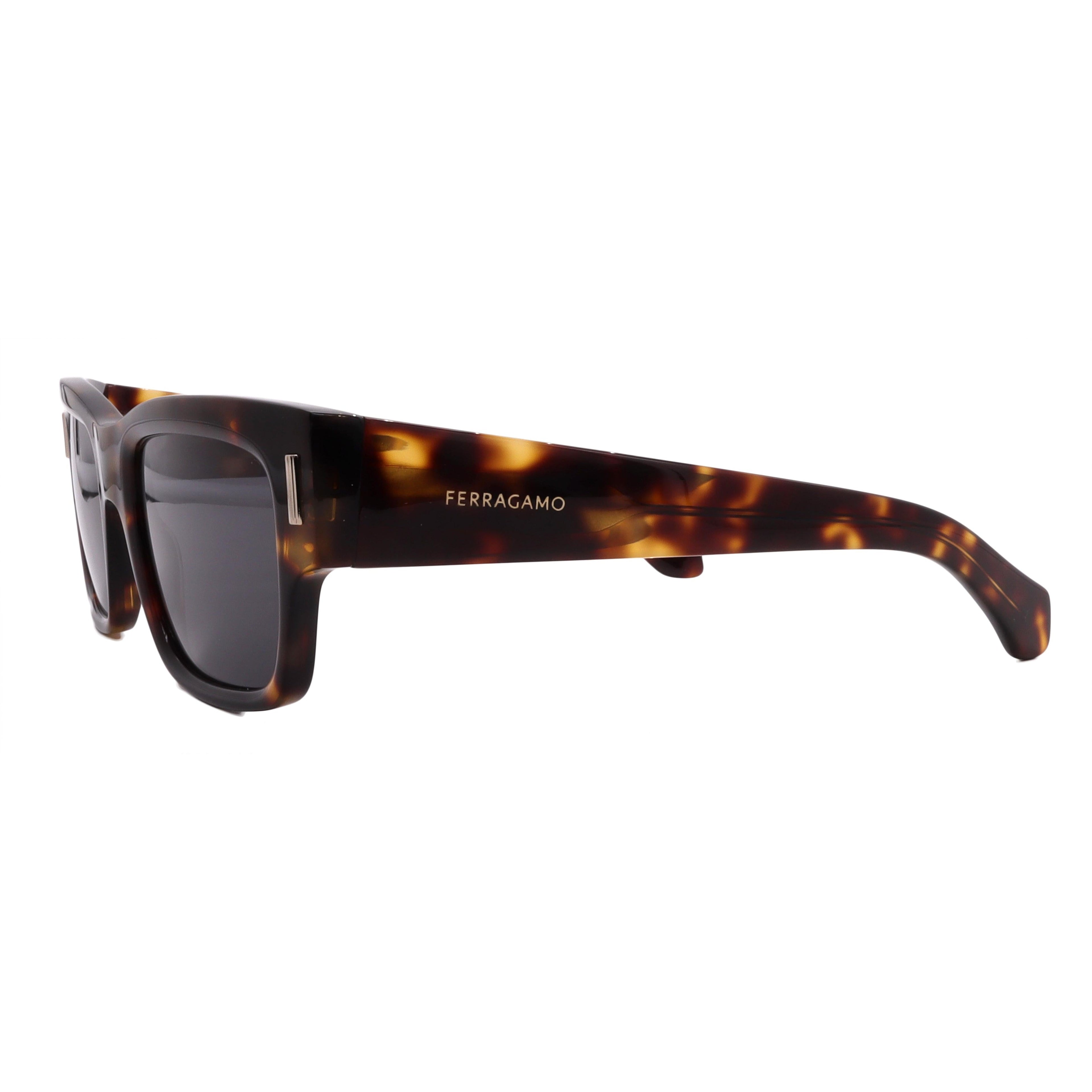 Salvatore Ferragamo Sunglasses SF2011S-242-53-21-140 Non-Polarized FrameVault