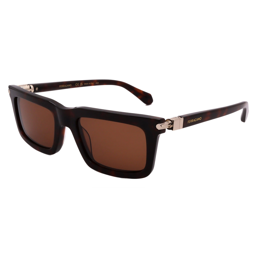 Salvatore Ferragamo Sunglasses SF2015S-242-53-20-145 Non-Polarized FrameVault