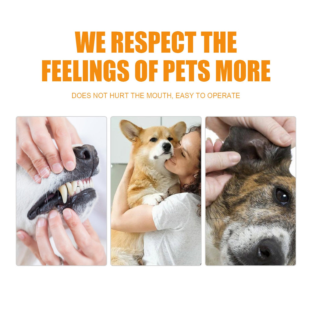 Pet Teeth Cleaning, Dog Cat Teeth Clean Tartar Stones Fresh Breath
