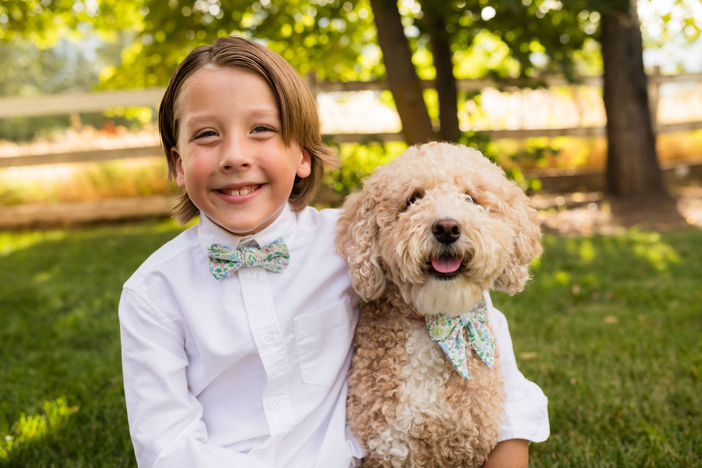 Blooming- Boys Bow Tie Boon Ties