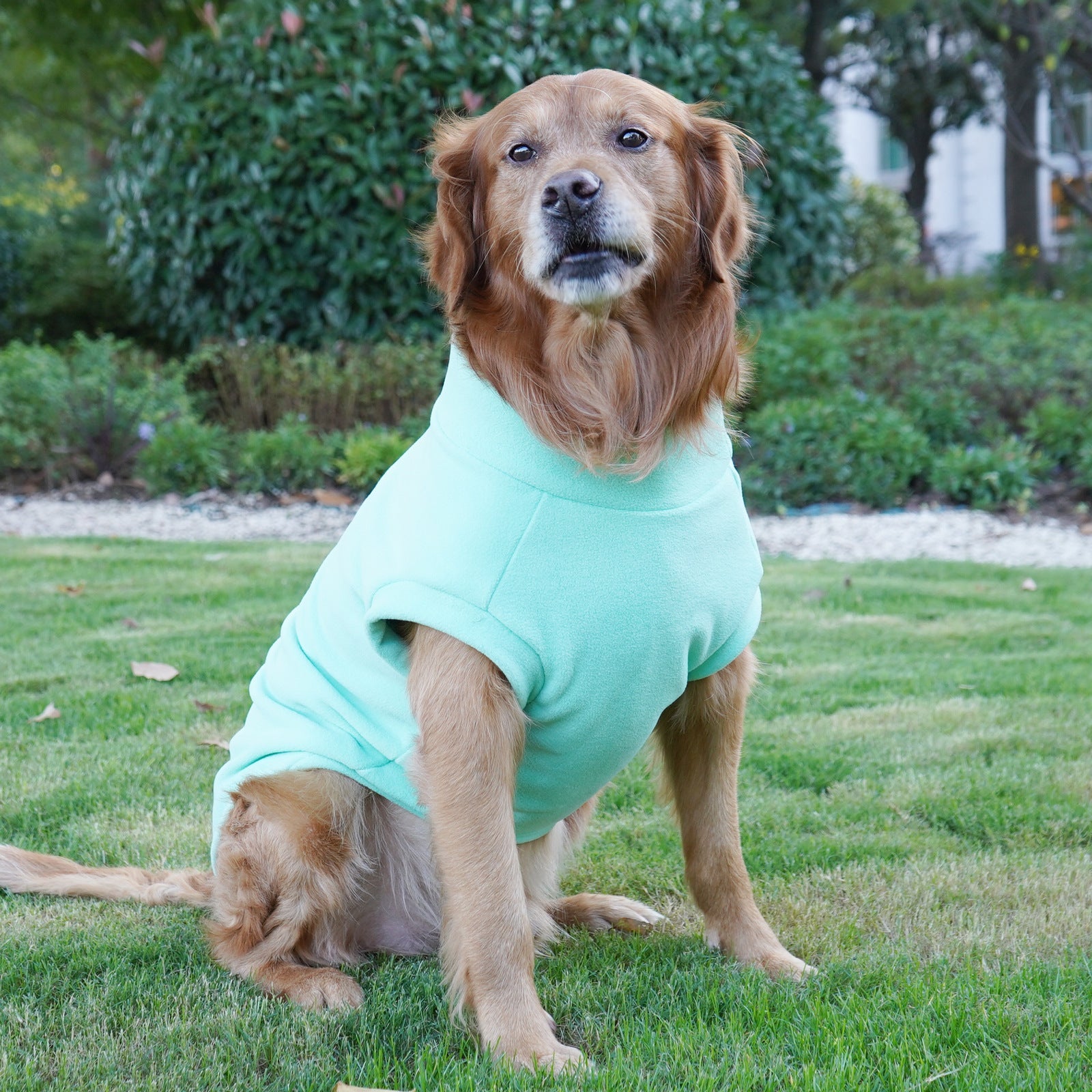 Pet Labrador Golden Retriever Dog Clothes Large Breed Winter Warm Pet Clothes European and American Cross-border Wholesale
