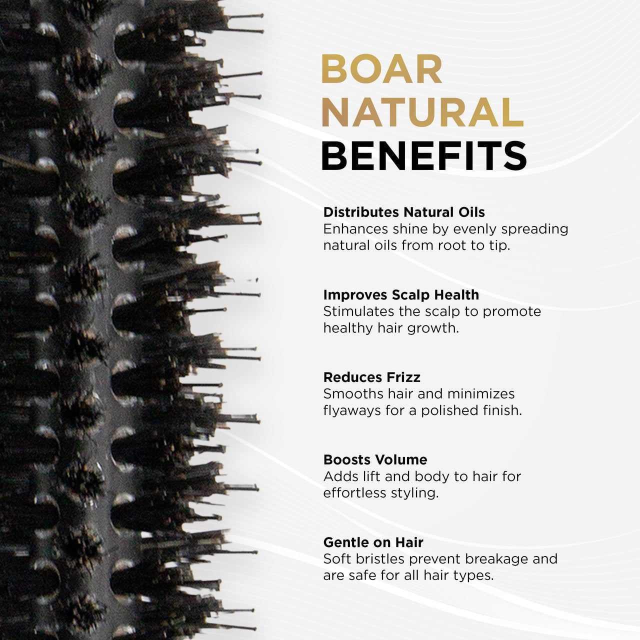 COCCO® Black Series Ceramic Boar Brush (Select Size) Cocco Hair Professional