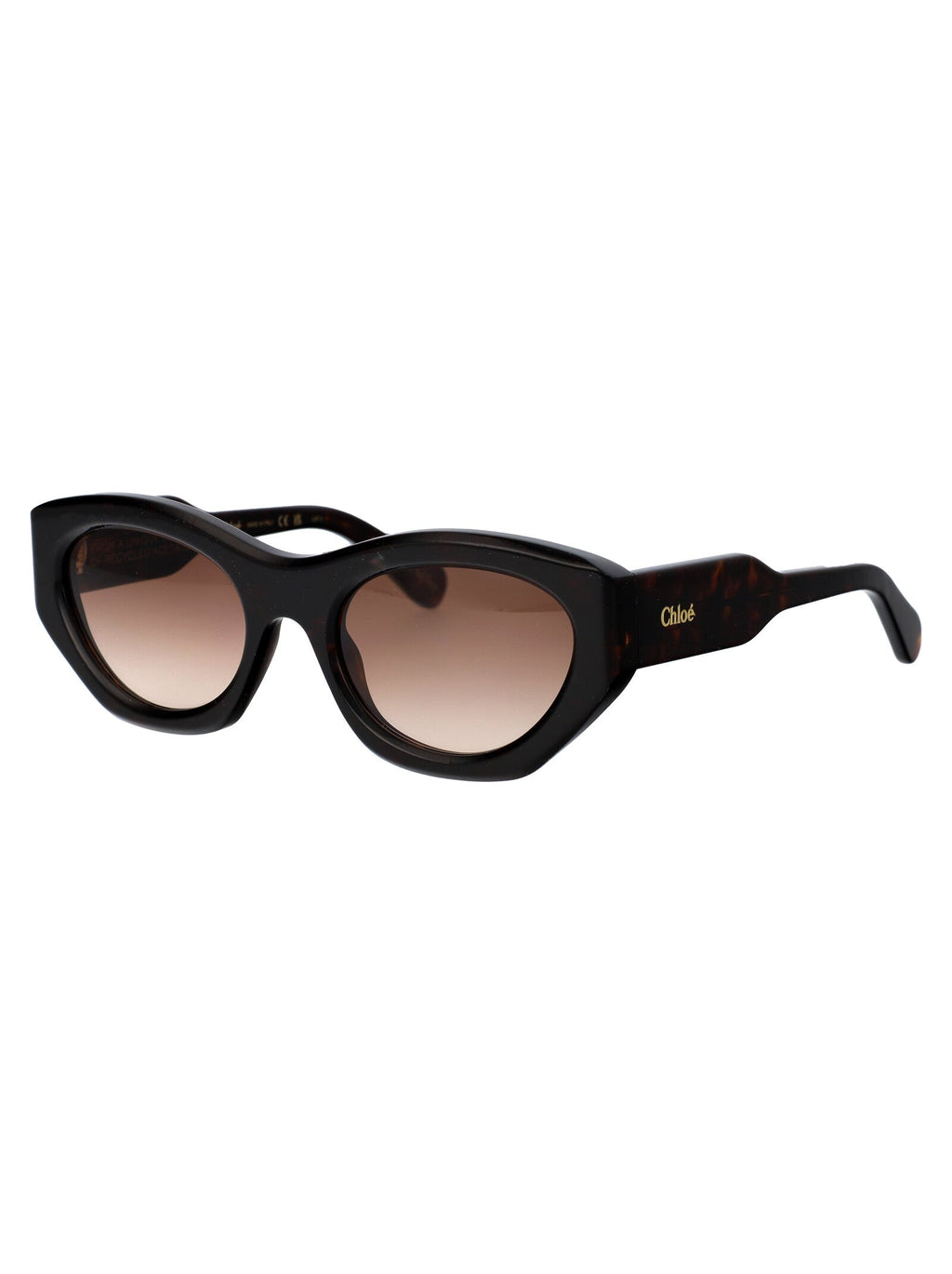 CHLOÉ Chic Acetate Sunglasses for Women - FW25 Collection