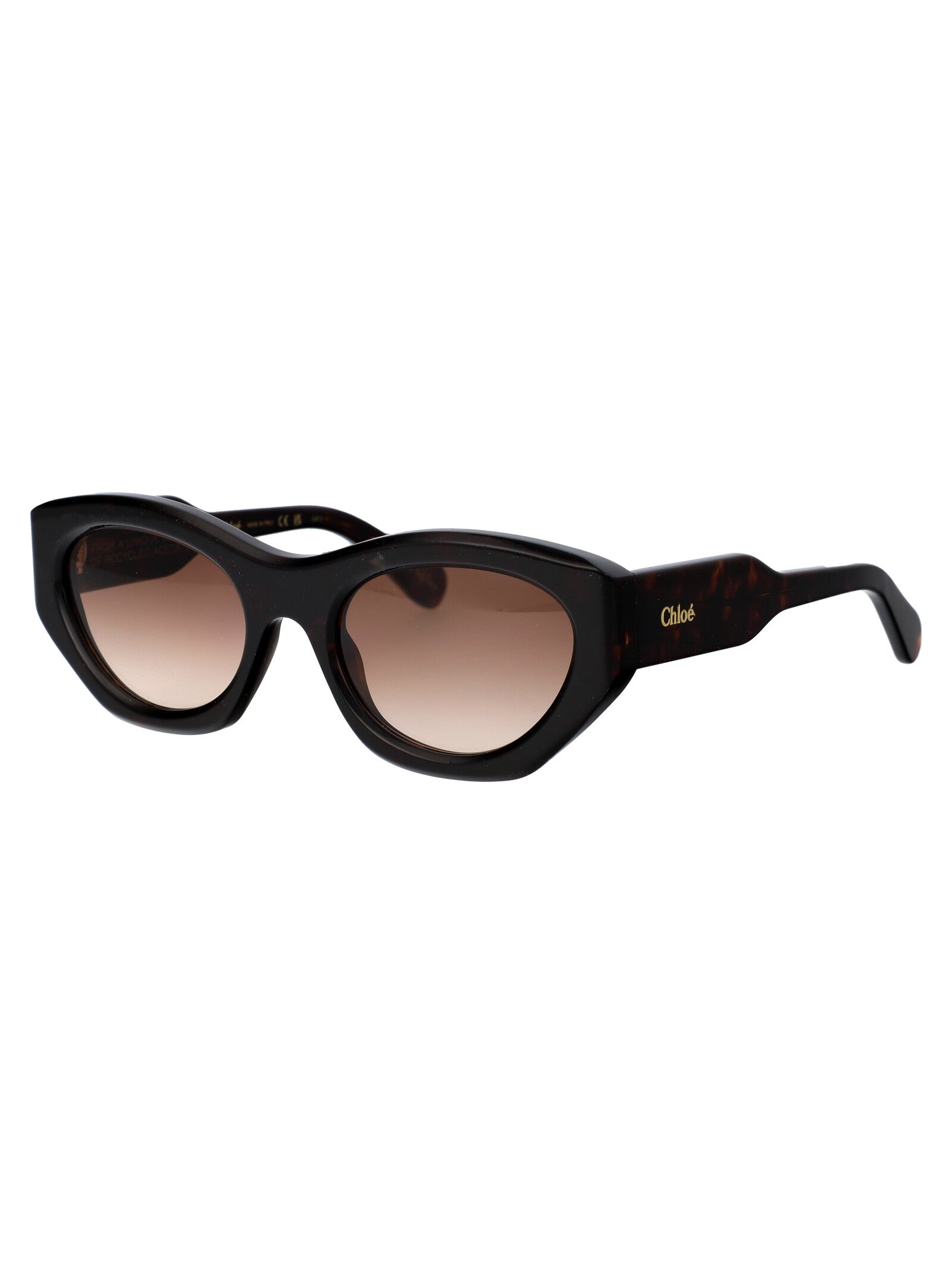 CHLOÉ Chic Acetate Sunglasses for Women - FW25 Collection