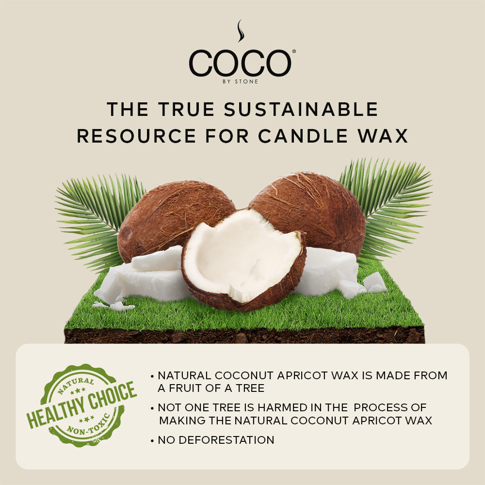 Blue Birch Natural Coconut Apricot Wax Candle