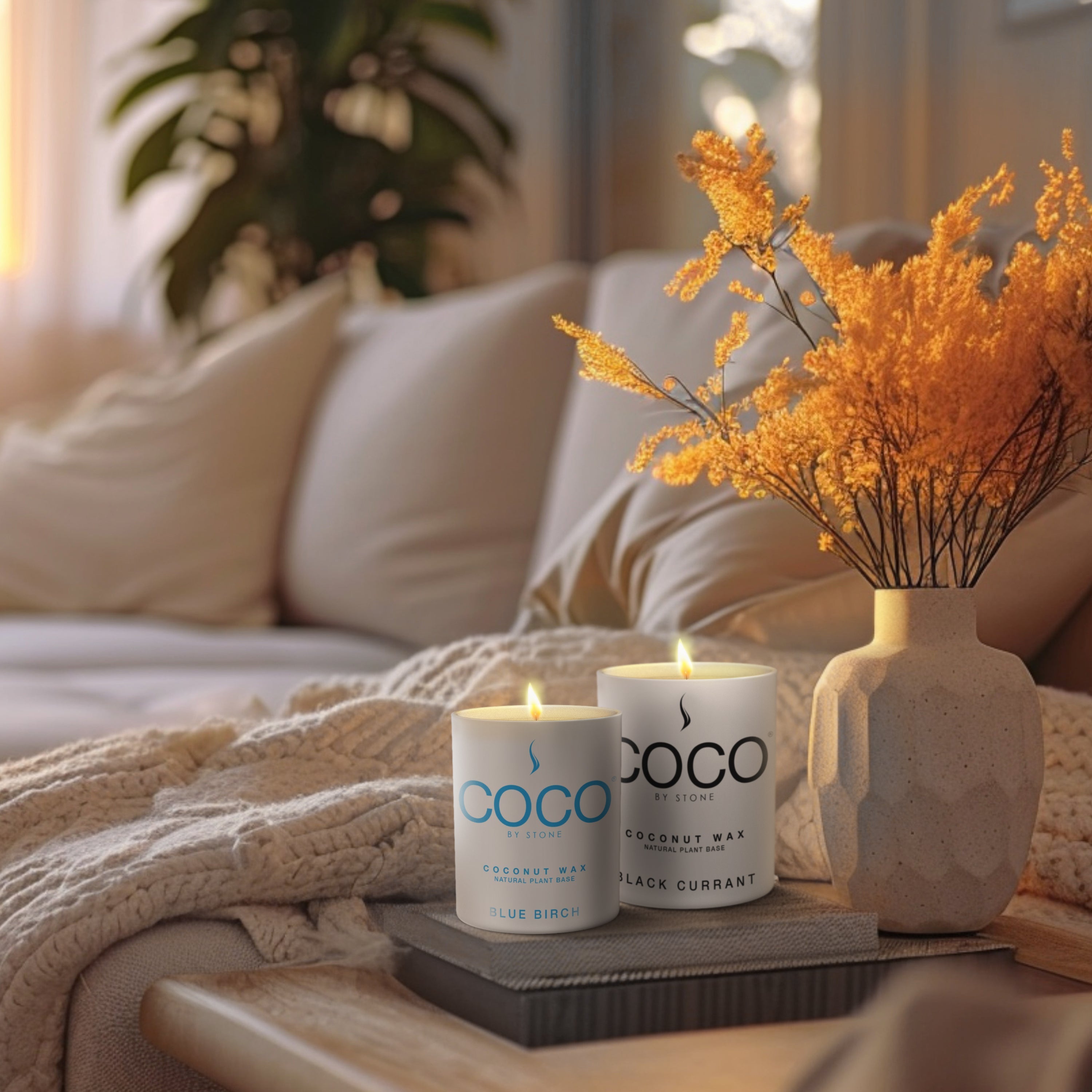 Pink Sugar Natural Coconut Apricot Wax Candle