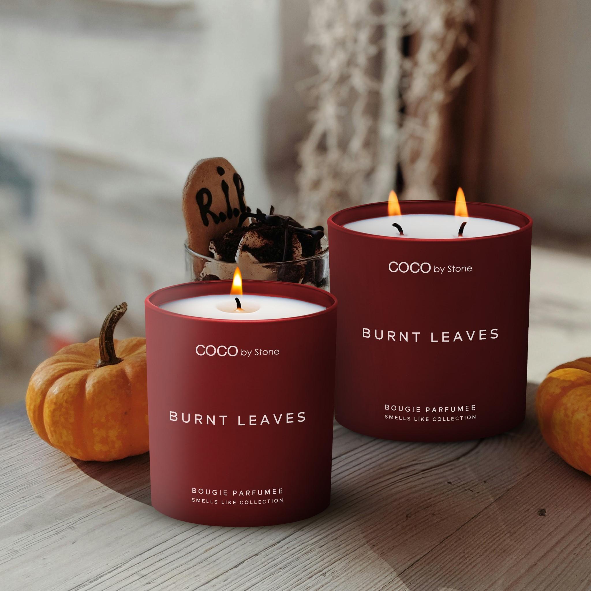 15oz Smells Like Burnt Leaves Candle