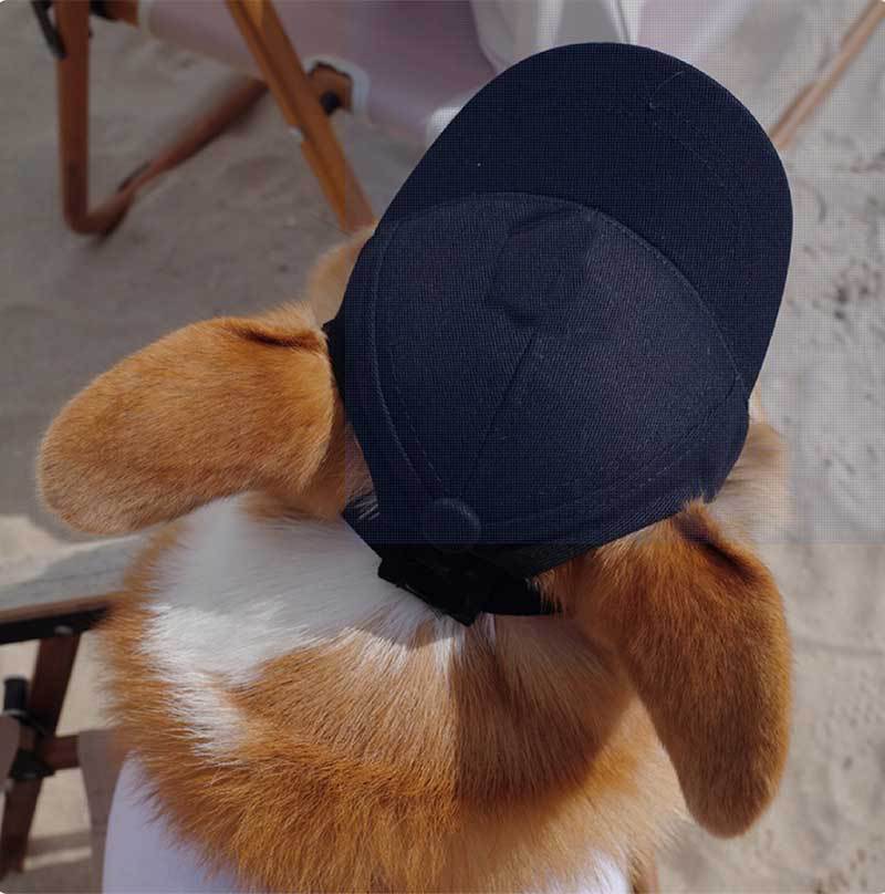 Pet Dog Outdoor Photography Leisure Sunshade Hat with Ear Holes Adjustable Corgi Baseball Cap V.I.P Digital Presence