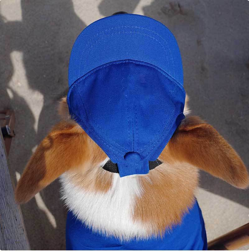 Pet Dog Outdoor Photography Leisure Sunshade Hat with Ear Holes Adjustable Corgi Baseball Cap V.I.P Digital Presence