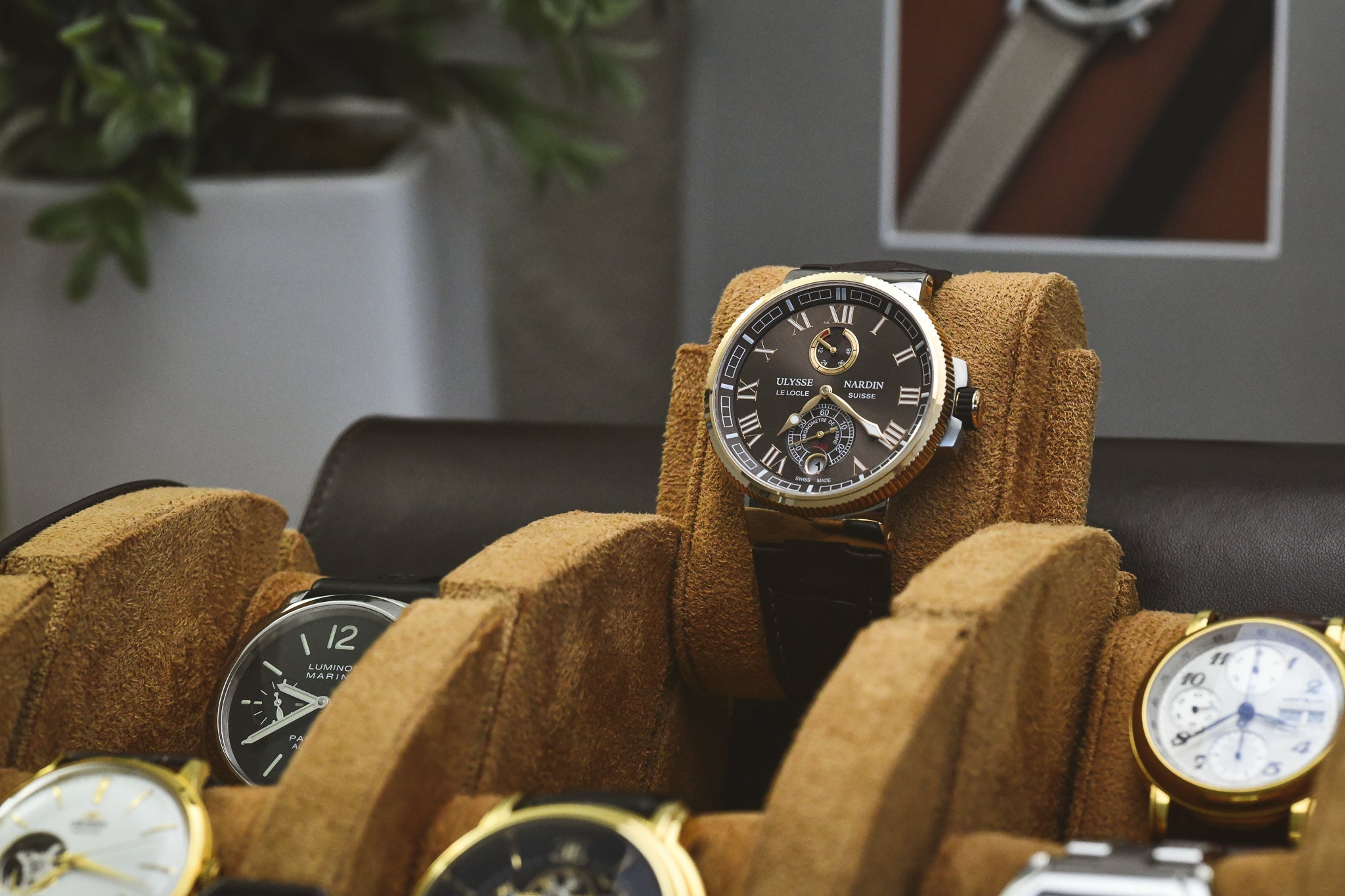 6 Watch Case - Espresso Brown
