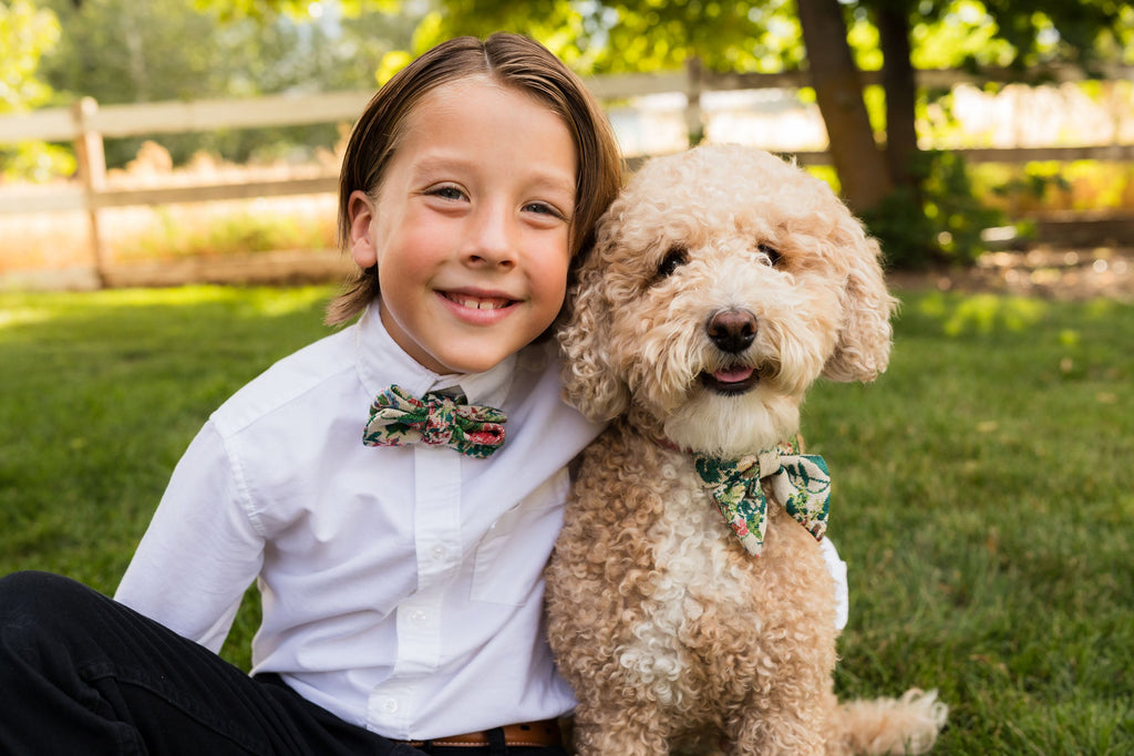 Gran's House - Boys Bow TIe Boon Ties