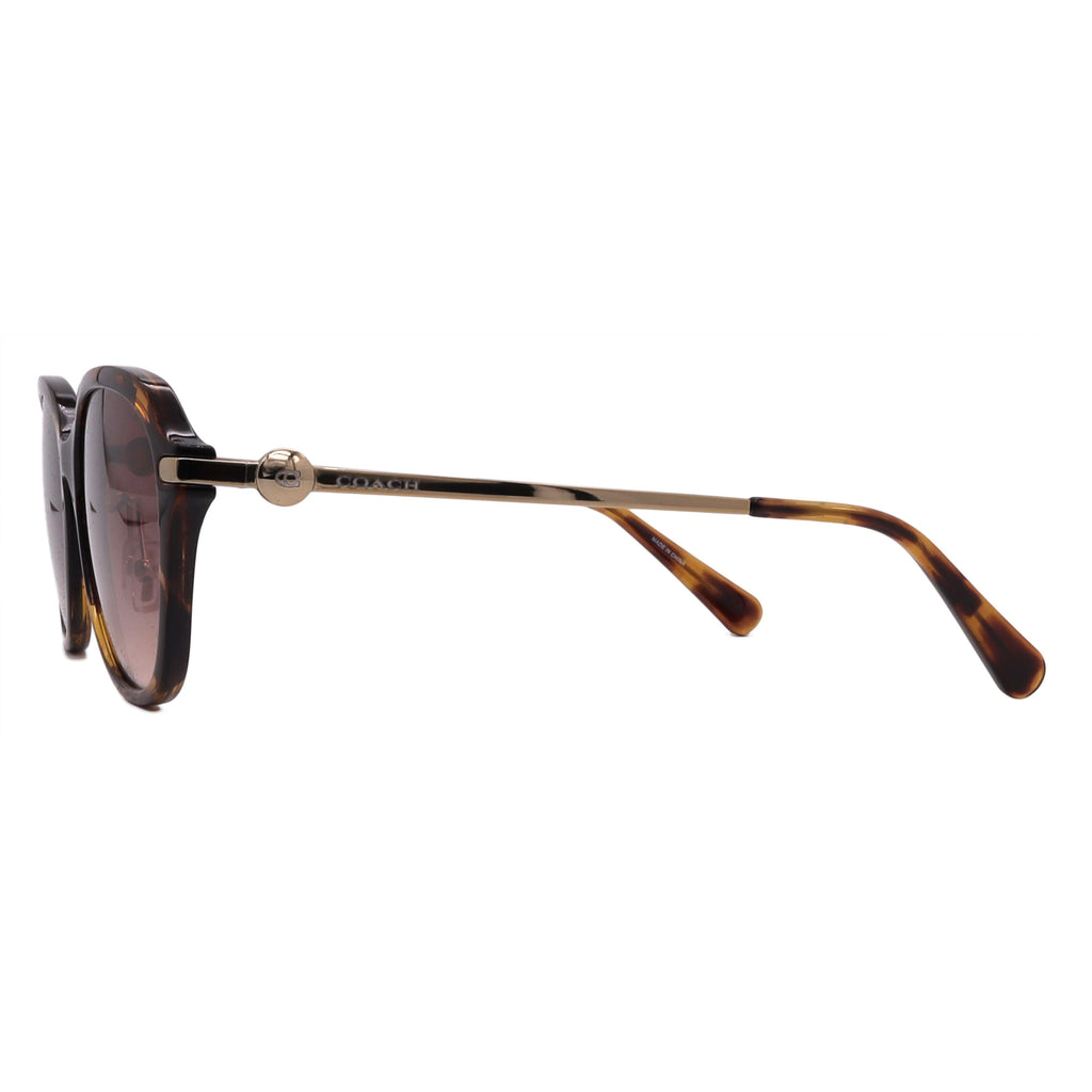 Coach Sunglasses HC8332D-512013-56-17-145 Non-Polarized FrameVault