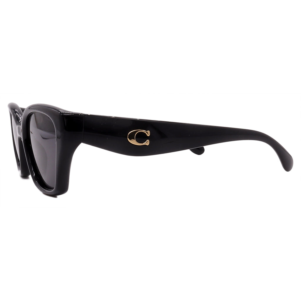 Coach Sunglasses HC8434U-500287-53-19-140 Non-Polarized FrameVault