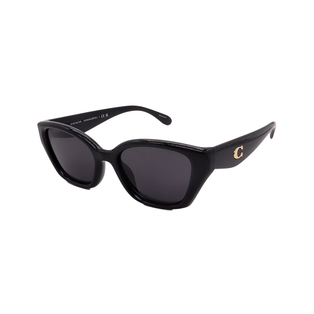 Coach Sunglasses HC8434U-500287-53-19-140 Non-Polarized FrameVault