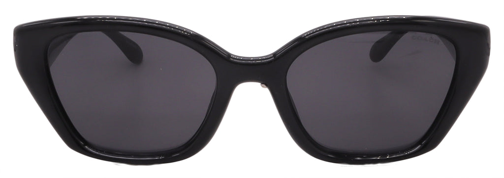 Coach Sunglasses HC8434U-500287-53-19-140 Non-Polarized FrameVault
