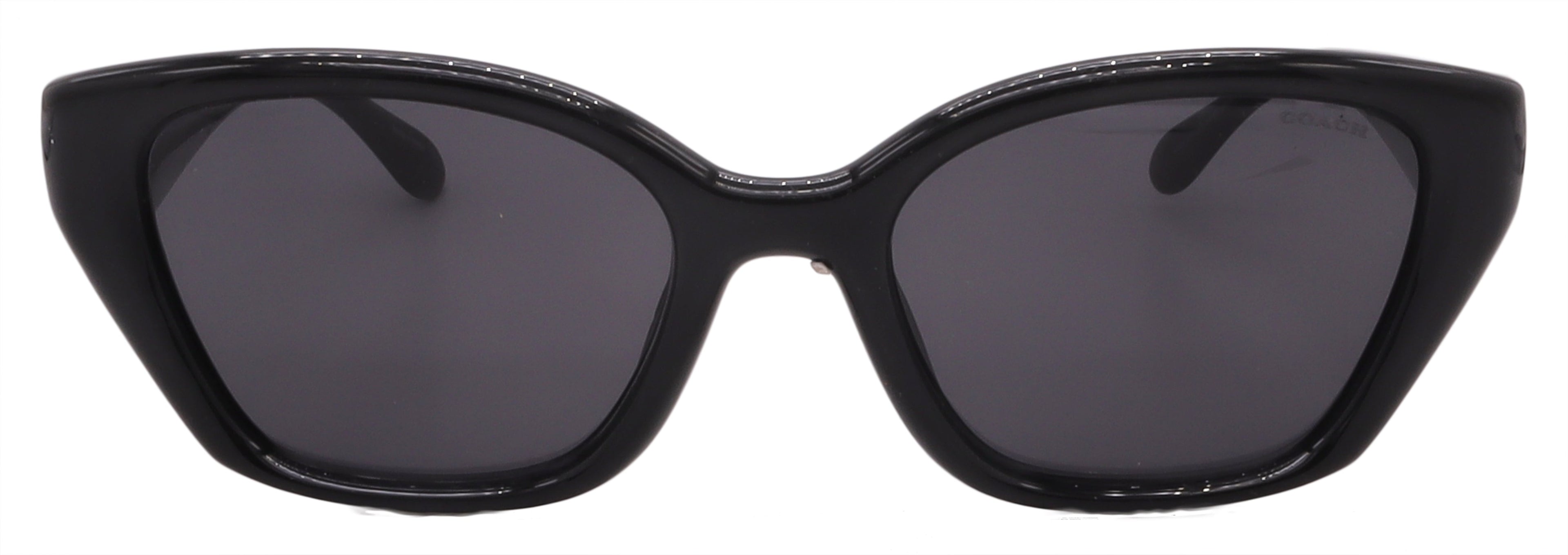 Coach Sunglasses HC8434U-500287-53-19-140 Non-Polarized FrameVault