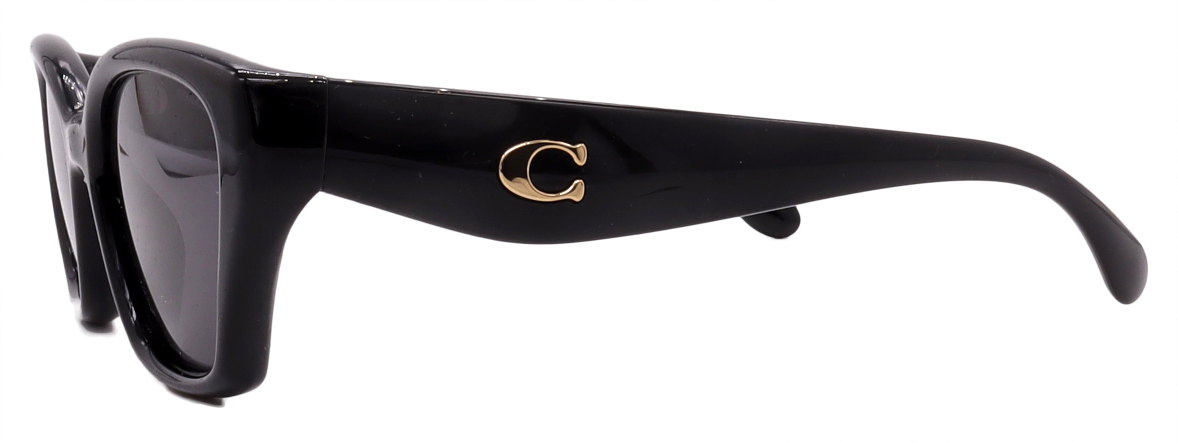 Coach Sunglasses HC8434U-500287-53-19-140 Non-Polarized FrameVault
