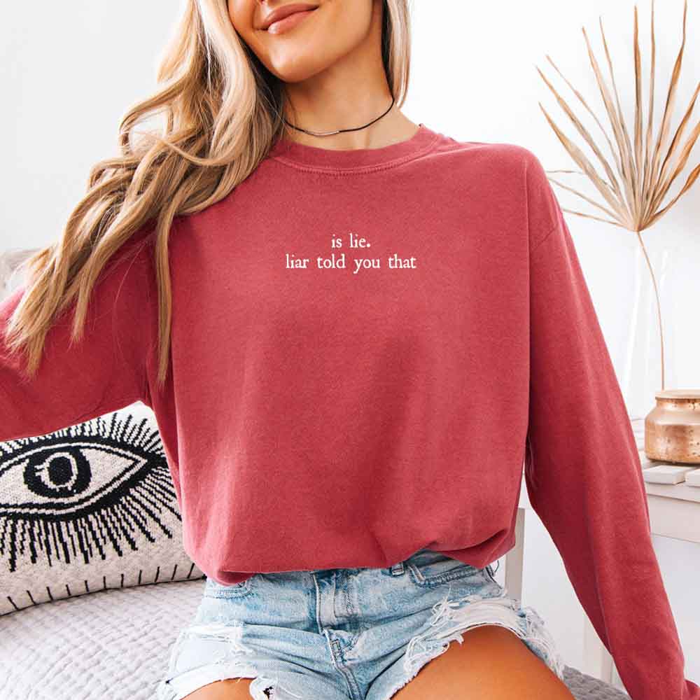 Is Lie, Liar Told You That Comfort Colors Long Sleeve – Hockey Romance BookTok Shirt Adorb Custom Tees