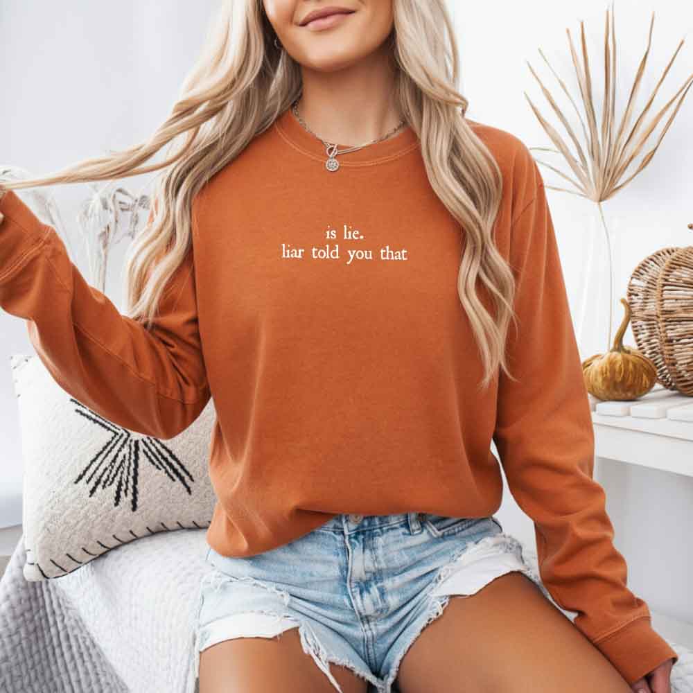 Is Lie, Liar Told You That Comfort Colors Long Sleeve – Hockey Romance BookTok Shirt Adorb Custom Tees