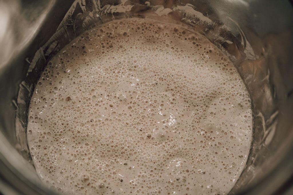 Onic Brands Dehydrated Sourdough Starter Onic Brands LLC