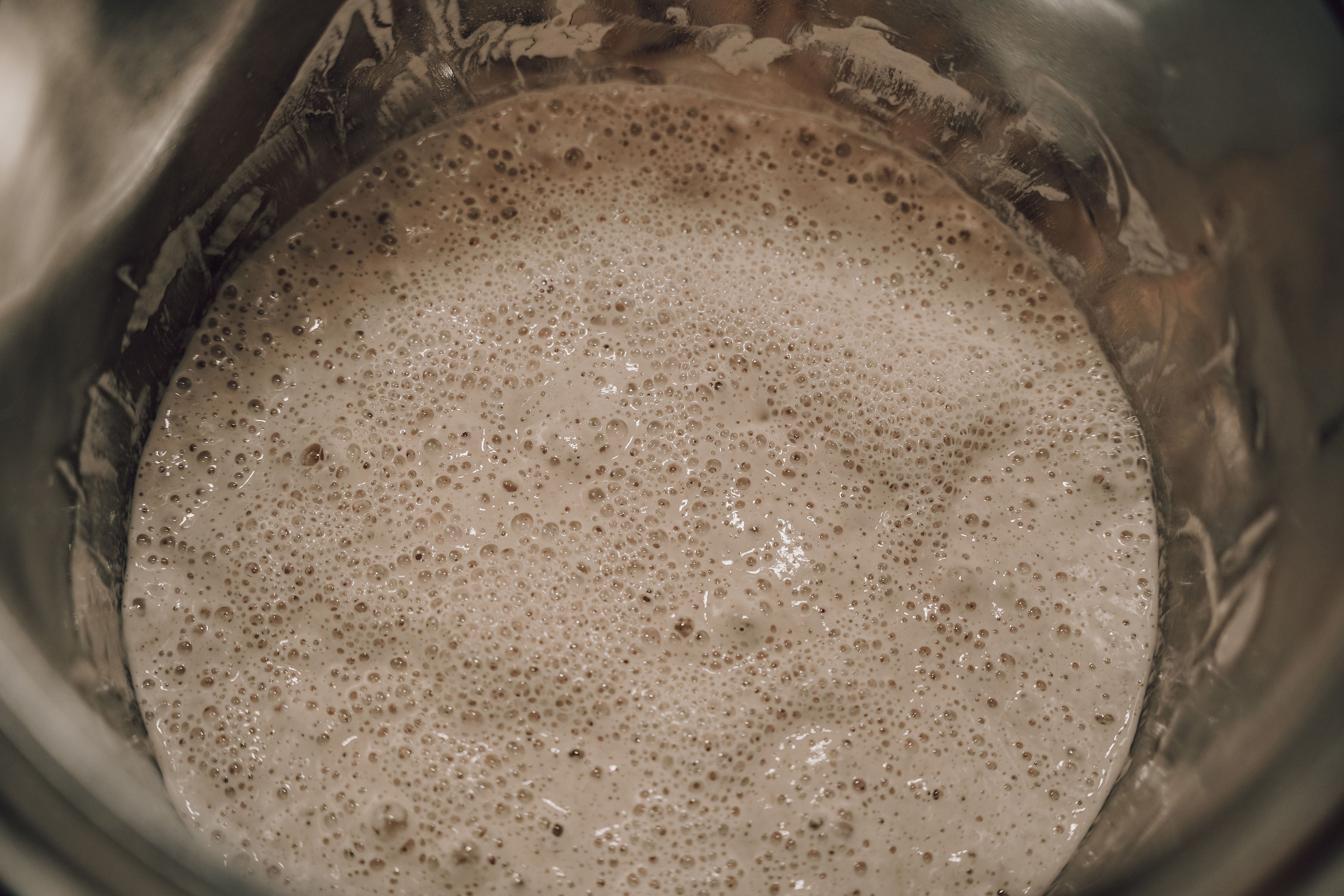 Onic Brands Dehydrated Sourdough Starter Onic Brands LLC
