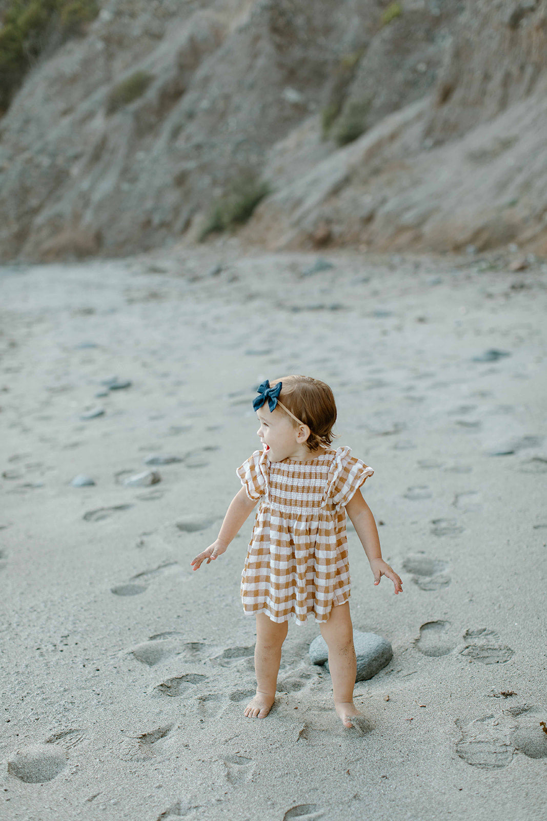 Lake House - Petite Hair Bow