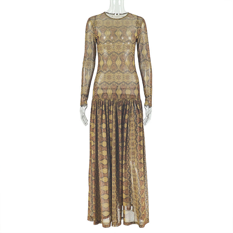 Elegant Retro Women Waist Slimming Micro Transparent A line Printing round Neck Long Sleeved Dress