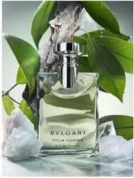 Bvlgari Pour Homme By Bvlgari For Men 3.4 oz EDP Spray perfumesandrea
