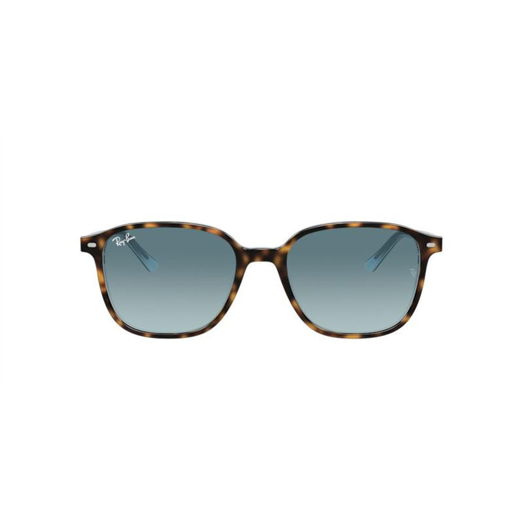 RAY-BAN Stylish Men's Gradient Sunglasses Banlieue91