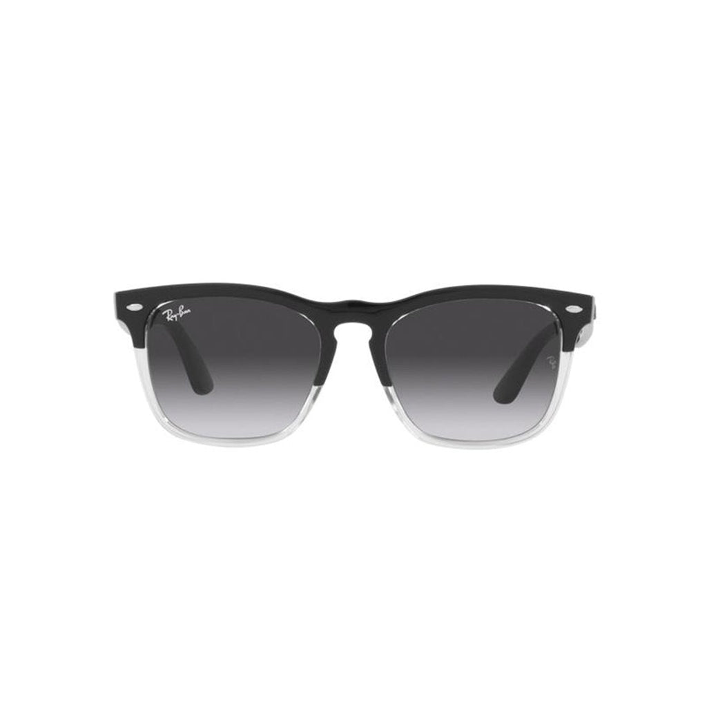 RAY-BAN Classic Rectangle Sunglasses for Men Banlieue91