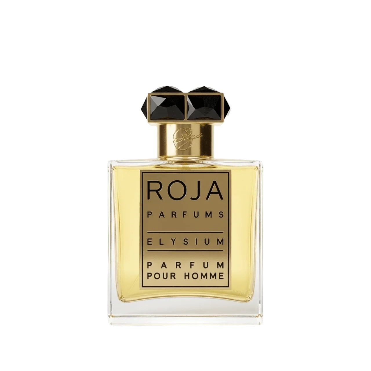 Roja Elysium Parfum Pour Homme Mystic Store