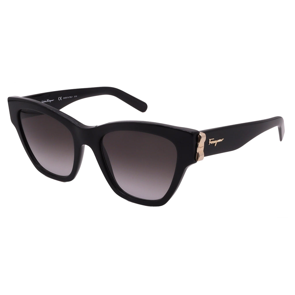 Salvatore Ferragamo Sunglasses SF1010S-001-53-19-140 Non-Polarized FrameVault